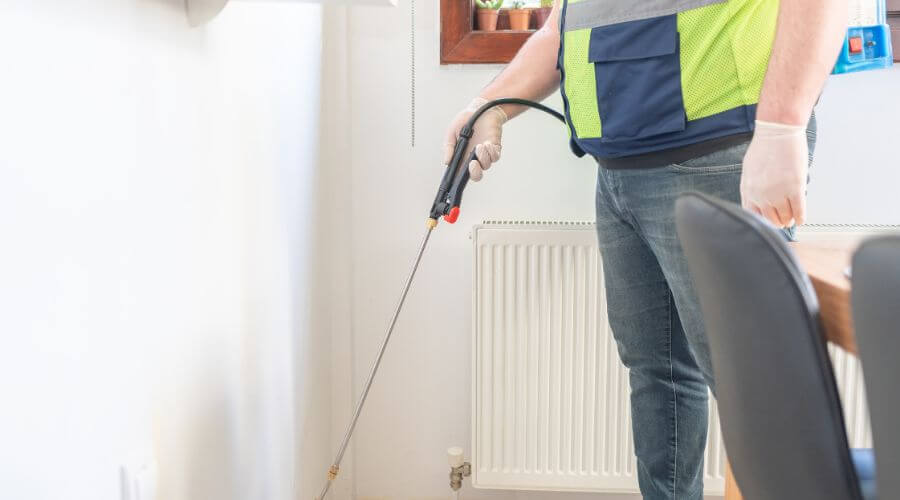 Professional pest control services in Antioch